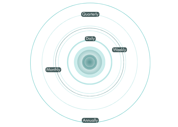 Concentric rings labelled Daily, Weekly, Monthly, Quarterly and Annually radiating from a central pulse